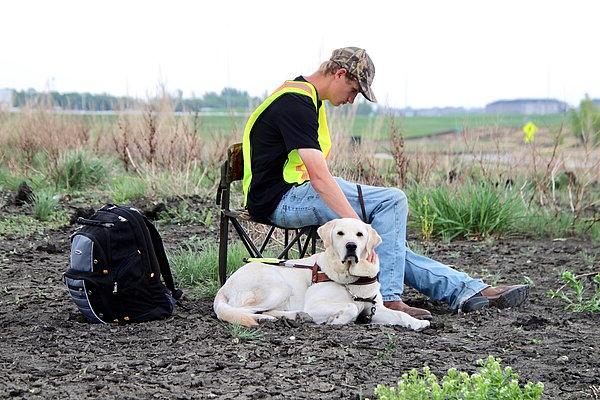 一个人和一只狗坐在田野里的椅子上.